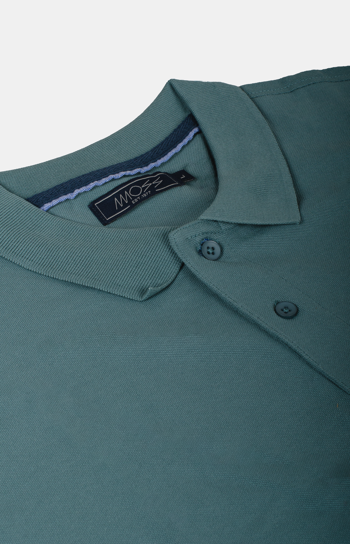 #color_verde menta