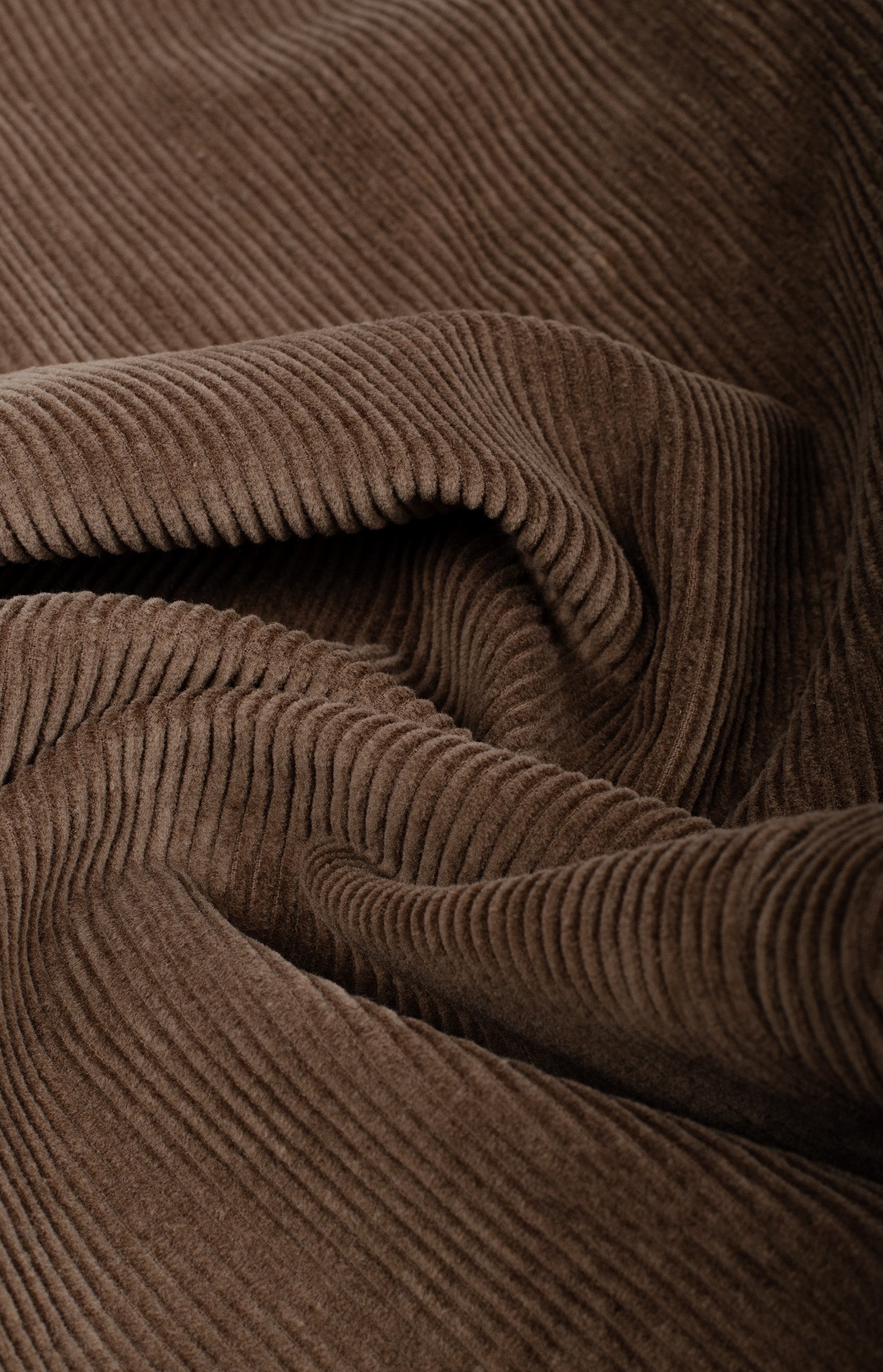 #color_camel